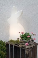 Shining Rabbit 70 inklusive LED Allgebrauchslampe...